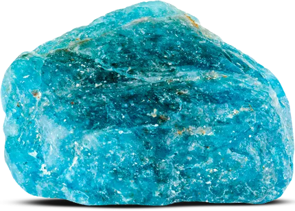 Collection image for: Appatite