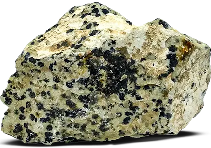 Collection image for: Dalmatian Jasper