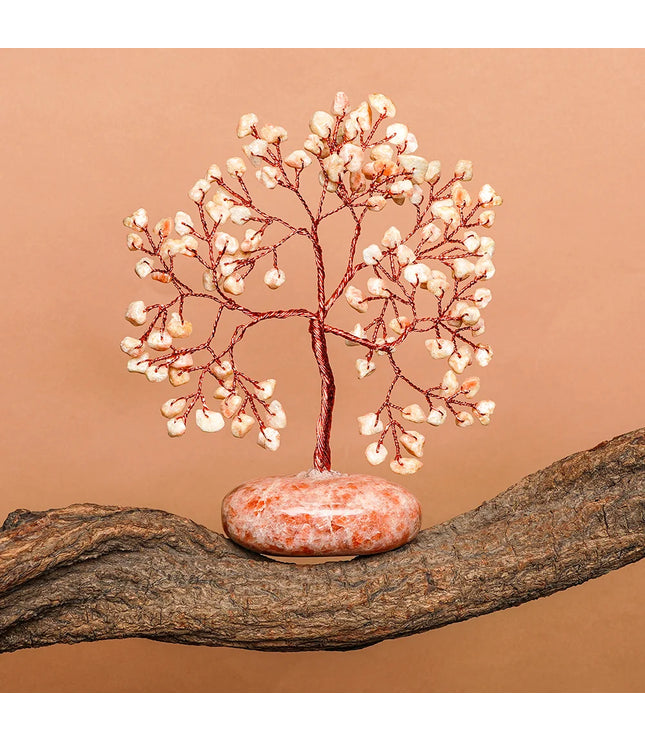 Sun Stone Palm Stone Base Tree